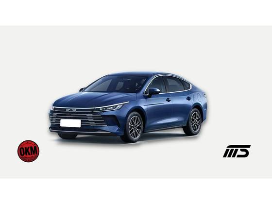 BYD KING 1.5 DM-I PHEV GS AUTOMÁTICO BYD KING 1.5 DM-I PHEV GS AUTOMÁTICO